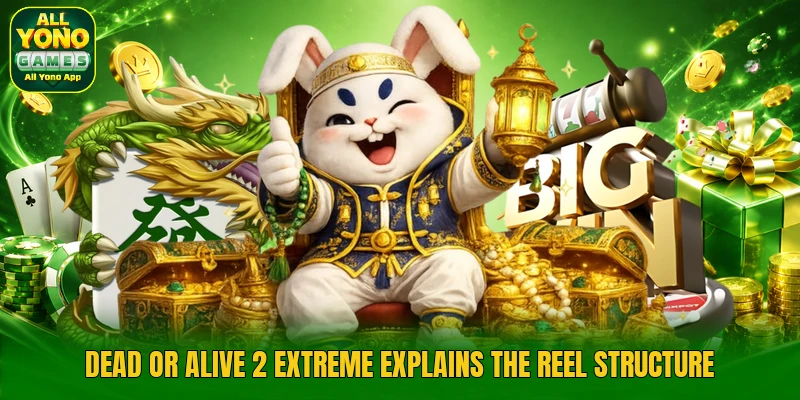 Dead or alive 2 extreme explains the reel structure Dead or alive 2 extreme explains the reel structure